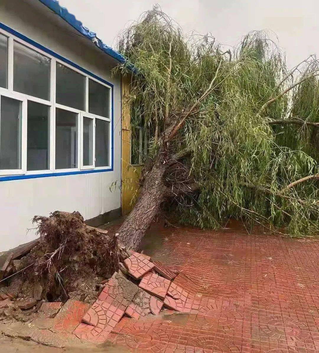 3m/s(十级风),阳原受灾严重,县气象台提前发布了雷电,大风,冰雹等预警