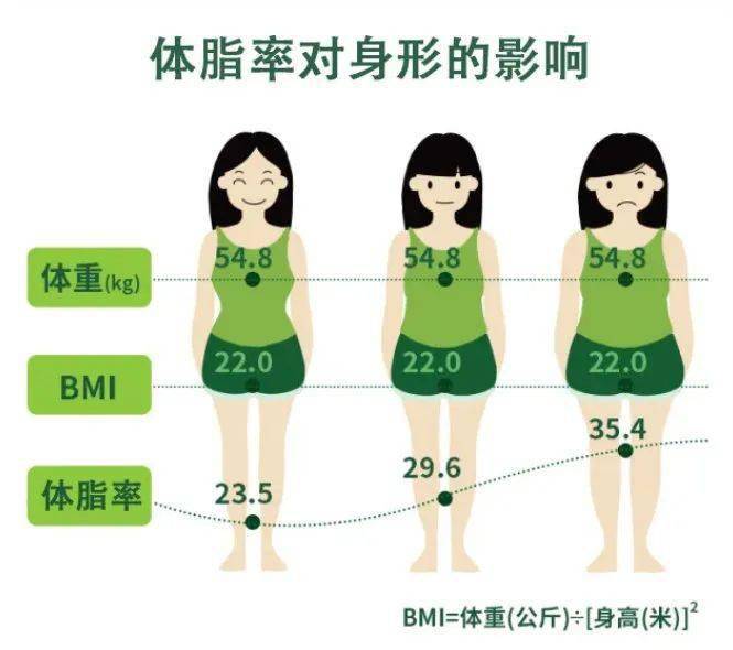 整日讲肥 体脂率是最诚实的胖瘦标准 按公式自测一下吧 A B
