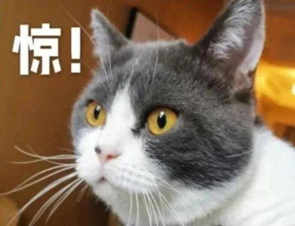 王依伯|连吃几天，福州依伯胃出血！竟因这道家常菜！