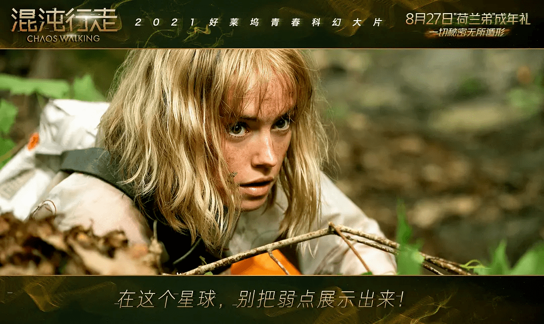 托德·赫维特|由内而外！这片把荷兰弟“扒了精光”！