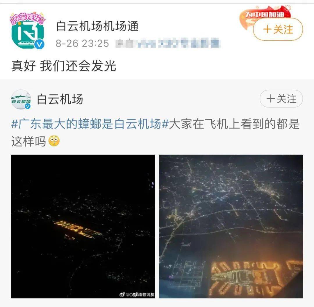 "广东最大蟑螂是白云机场"上热搜,官方回应解释"蟑螂腿-搜狐大视野