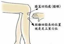 皮茶|春困秋乏夏打盹，可为啥一年四季睡不醒？