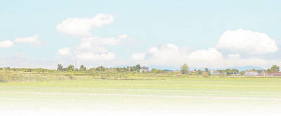 梁生宝|经典之作的悠远回响（品味红色经典(33)）