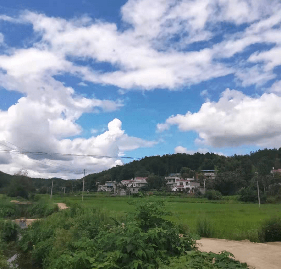 摄影欣赏:《美丽的匡河镇小山村!》