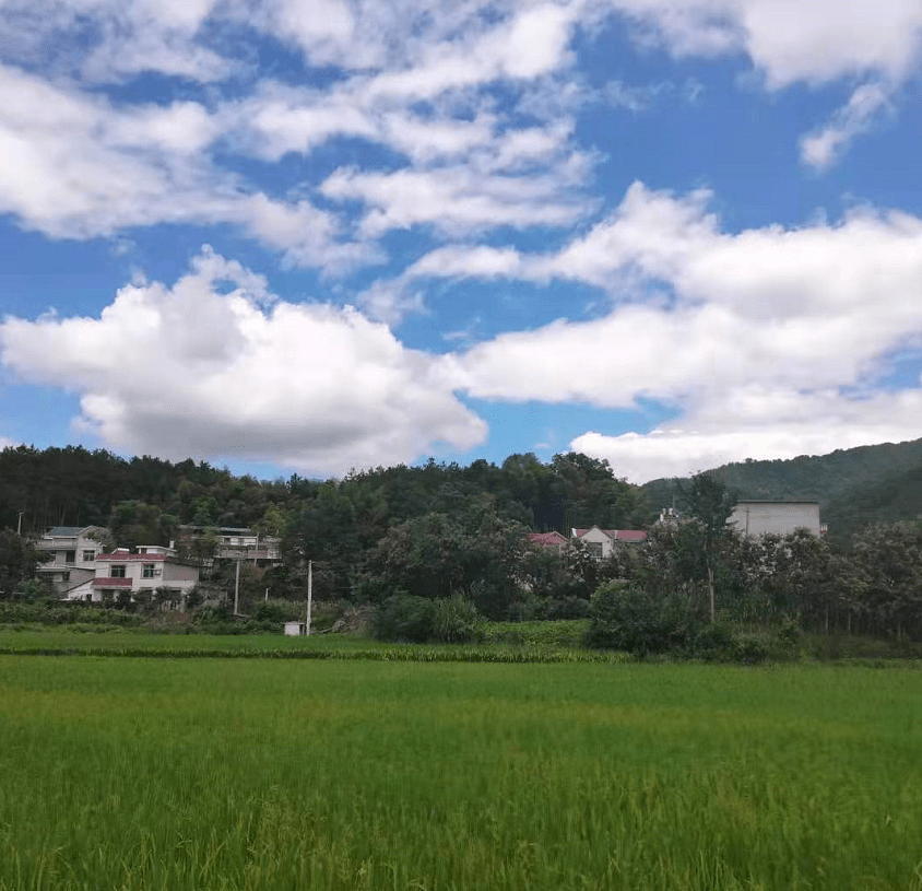 摄影欣赏:《美丽的匡河镇小山村!》