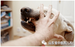 f3699b073e6540d2a42d7d790f8241f6.png