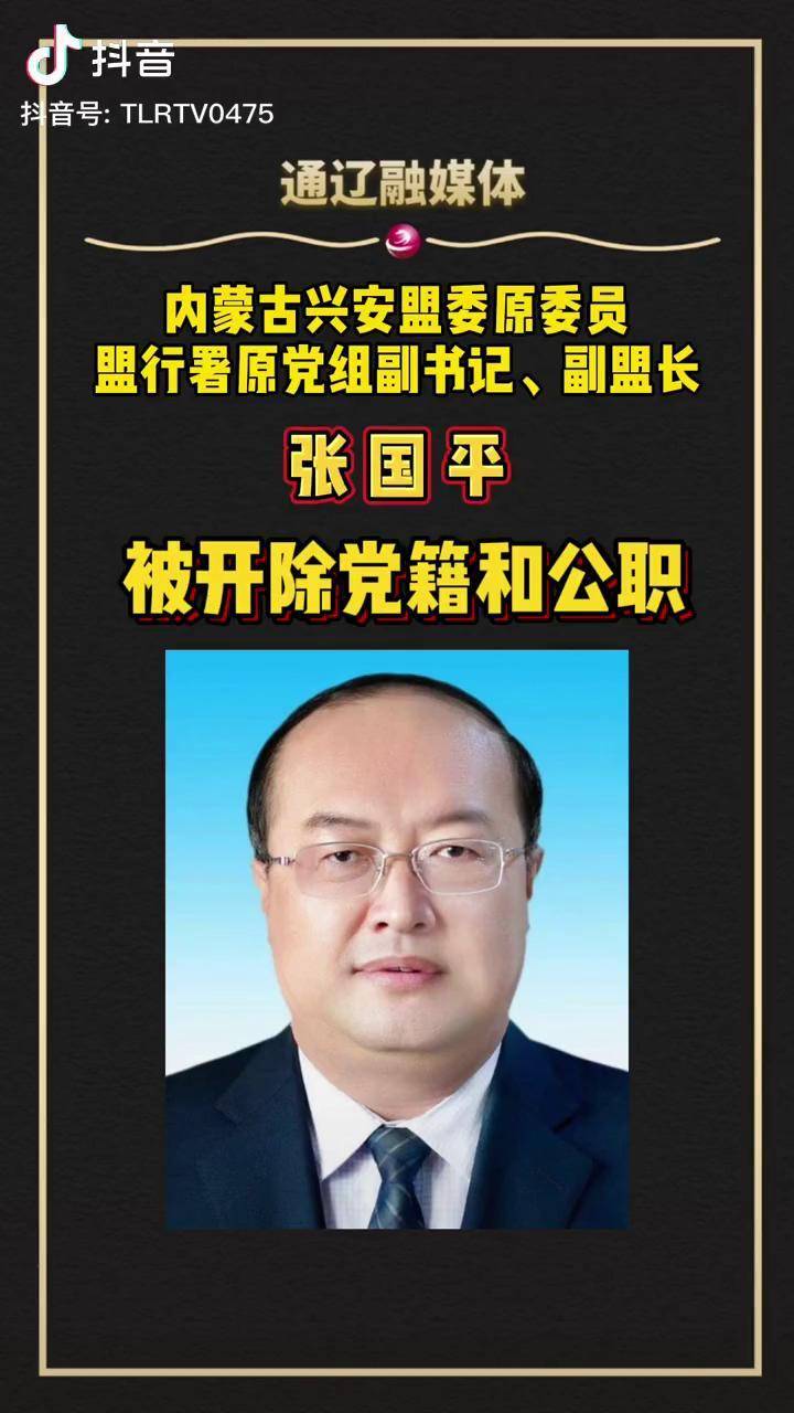 兴安盟 打虎拍蝇 兴安盟委原委员,盟行署原党组副书记,副盟长张国平被