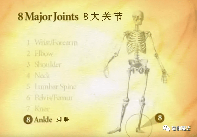 ca00807c281a4077b10f5ce56b281316.png