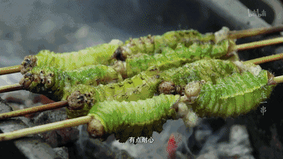 东北青蚕花式做法合集