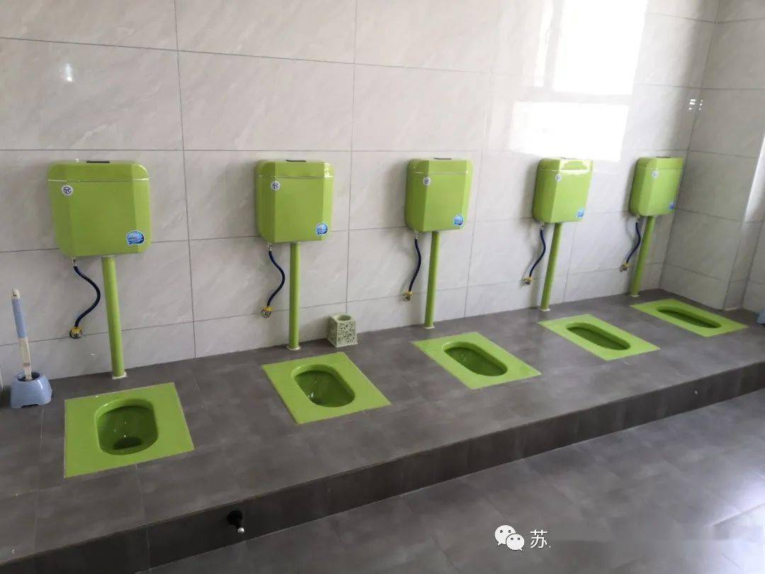 解决了中小学,幼儿园厕所不卫生,卫生厕所面积不足,蹲位不足,男女蹲位