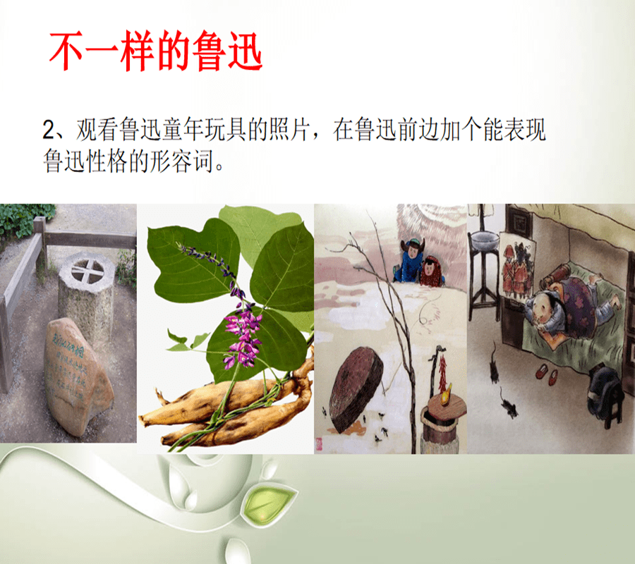 罗汉豆鲁迅图片