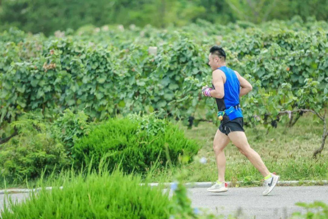 赛事|延期公告2021蓬莱葡萄酒国际马拉松,附退赛申请通道