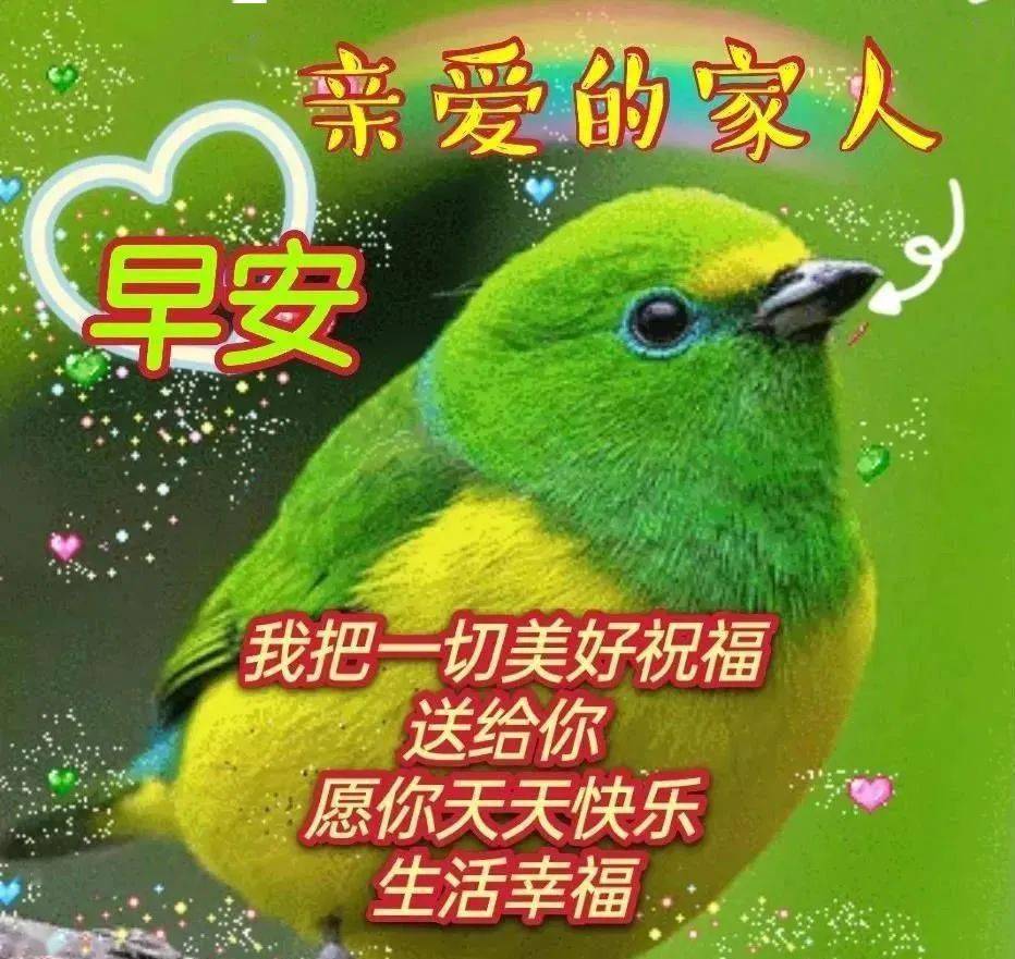 微信群發早上好美好的問候祝福句子發朋友的美麗的早上好圖片表情動態