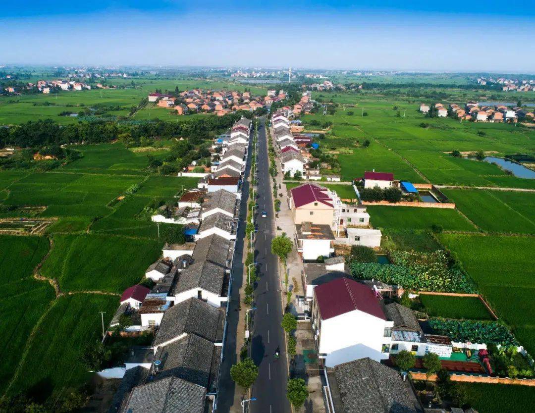 乡村振兴南昌县幽兰镇初心如磐践使命勇立潮头谱新篇