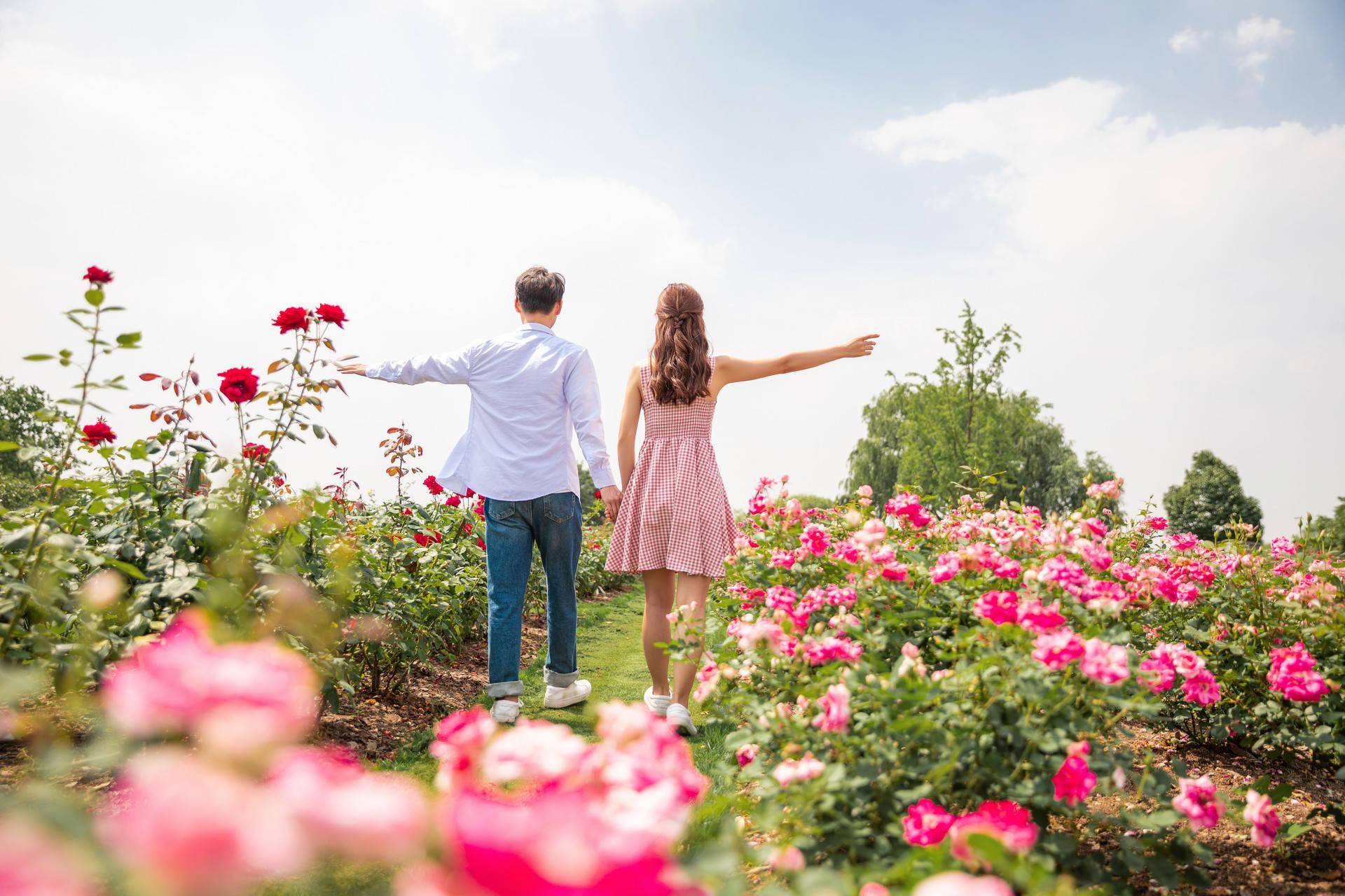 深深爱你歌谱图片 8758fc69404e49889b9f51743cee2266.jpeg