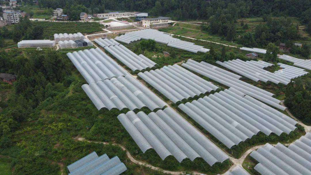 万源市魏家镇以史为炬69点亮乡村振兴之路