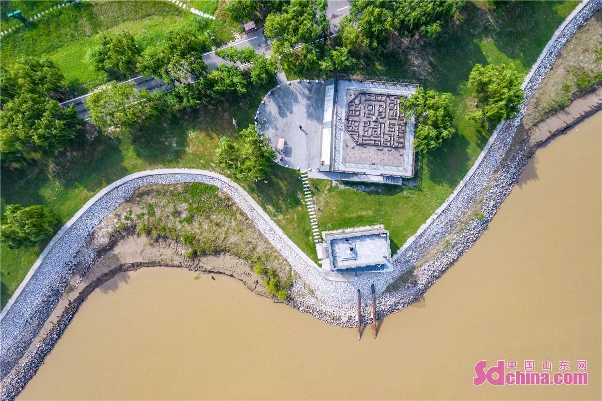 山东邹平:沿黄生态文明图景
