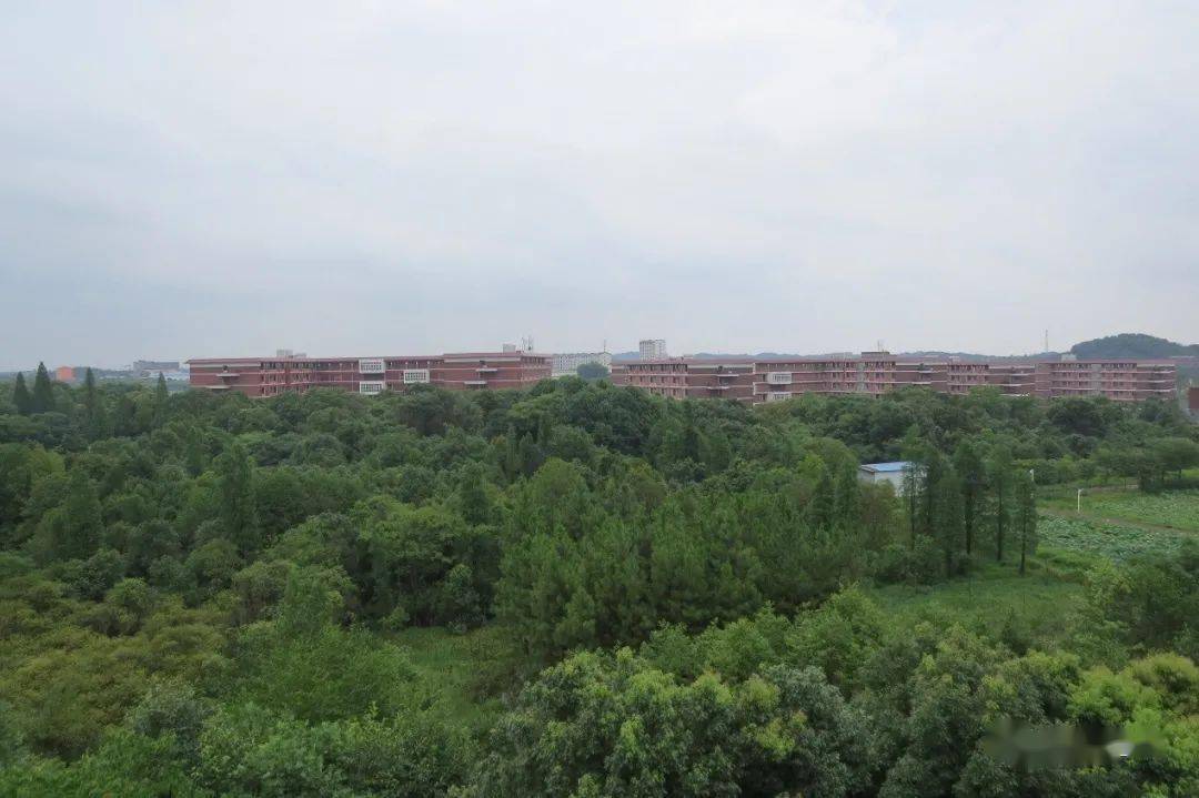 3500多名学生高安中专大城校区来了