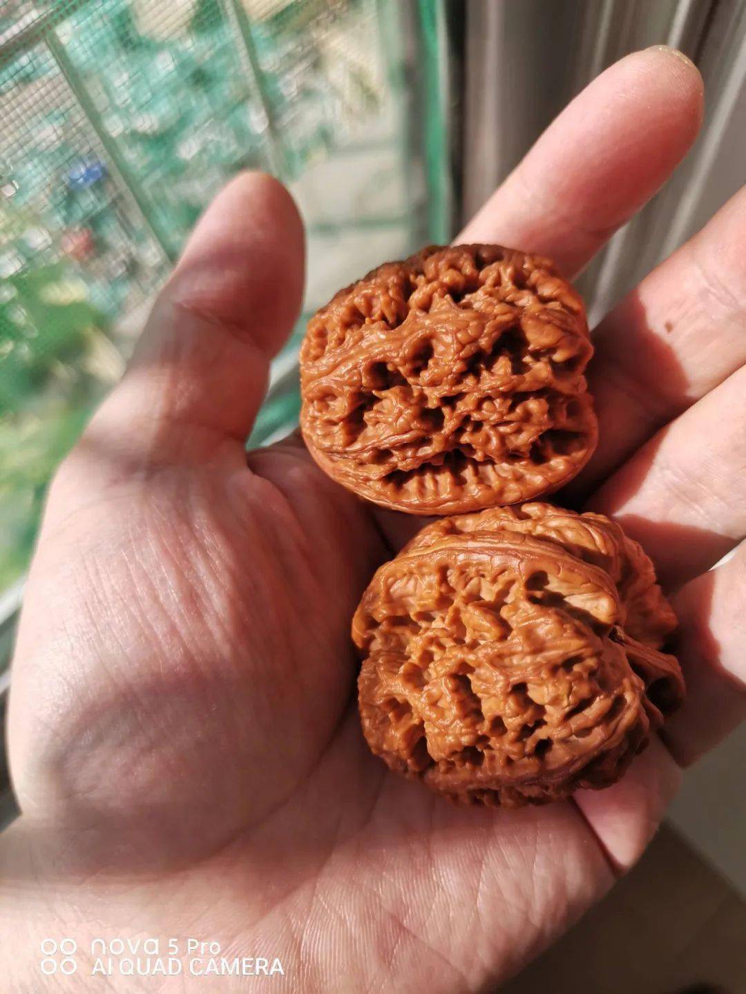 20天,每天盘2小时,这样的将军膀漂亮吗?