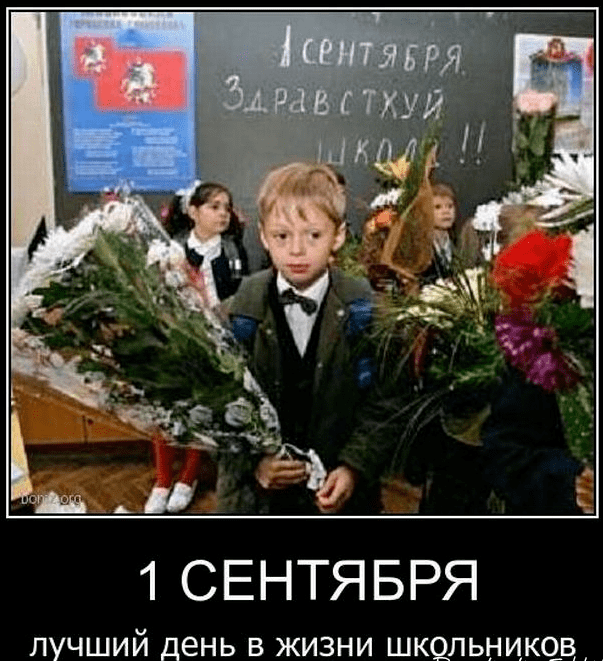 9月1日知识节盘点俄罗斯那些回笼的神兽和放飞的家长