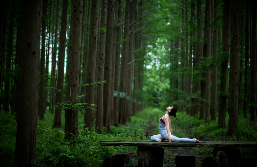 溯流瑜伽,心归峨眉,共赴一场森林瑜伽盛会