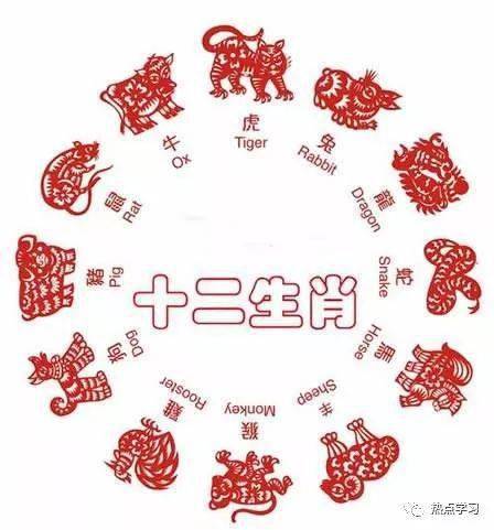 中国12生肖隐含的天机,竟如此神奇!太妙了!你肯定不知道