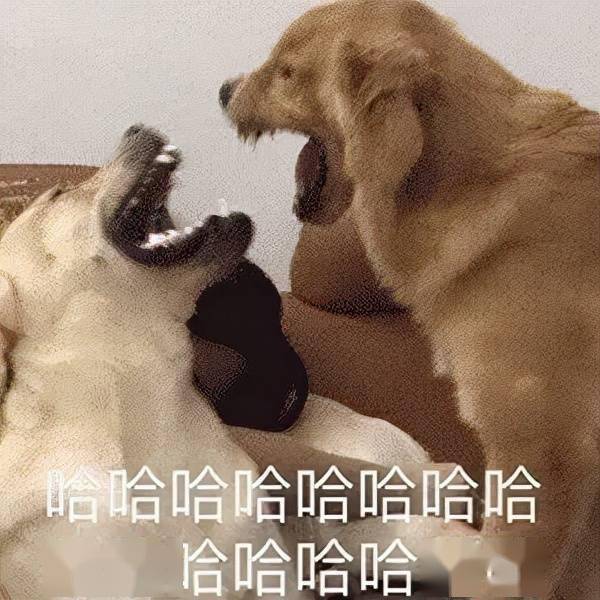 a2809fde9e874fa8b4a64241097d182f.jpeg