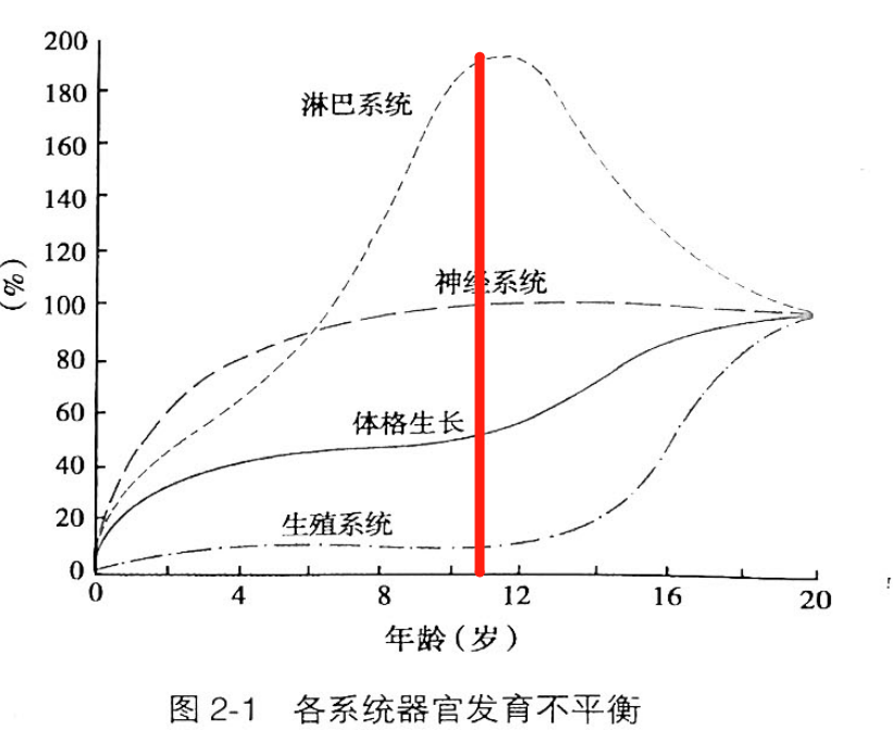 而体格生长跟生殖系统发育是同步的