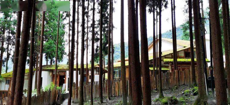 北川伟哥笔下的瓦壶沟一半壶缘印象