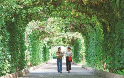 品牌|【图】游客在玛纳斯县天山北麓葡萄酒博览园参观