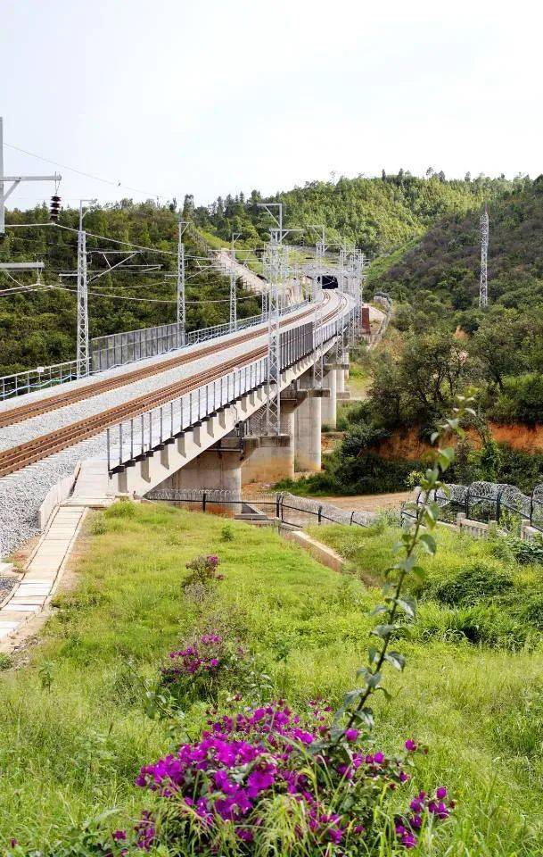 聚焦赞中老铁路亮了普洱沿途的风景也靓了