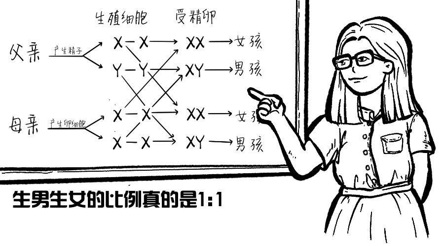 超纲了 决定生物性别的原来不只xy 科学小馆儿 染色体