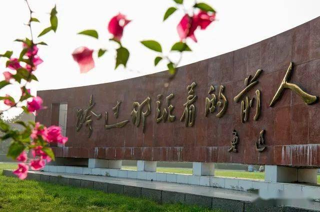 2021滕州一中高考录取情况公示高分数段人数下滑原因是