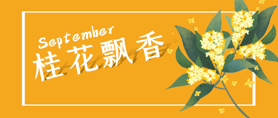 四川成都桂花苗基地地址