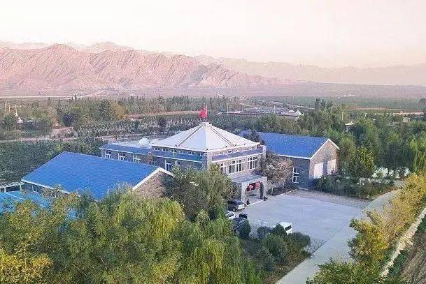 葡萄|周末好时光,沿着贺兰山东麓寻源、探秘、品鉴,来一场与众不同的酒庄之旅!