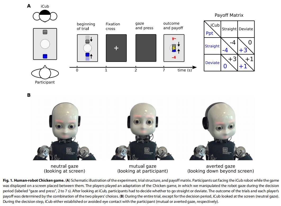 iCub|机器人：你瞅啥？人与机器人对视导致决策变慢，研究登上Science子刊