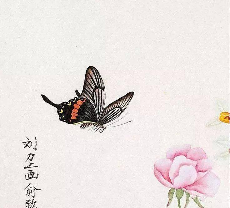 蝴蝶国画最简单画法图片
