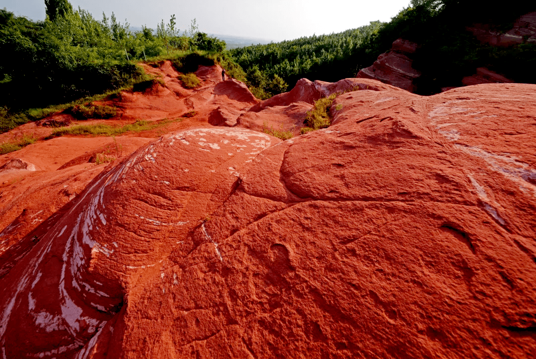 这里地处暖温带向北亚热带过渡地区,是一个由陡峭悬崖,红色岩石,幽深