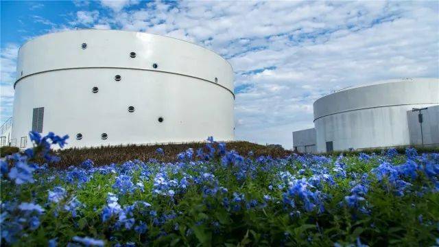 徐汇滨江新亮点油罐艺术公园