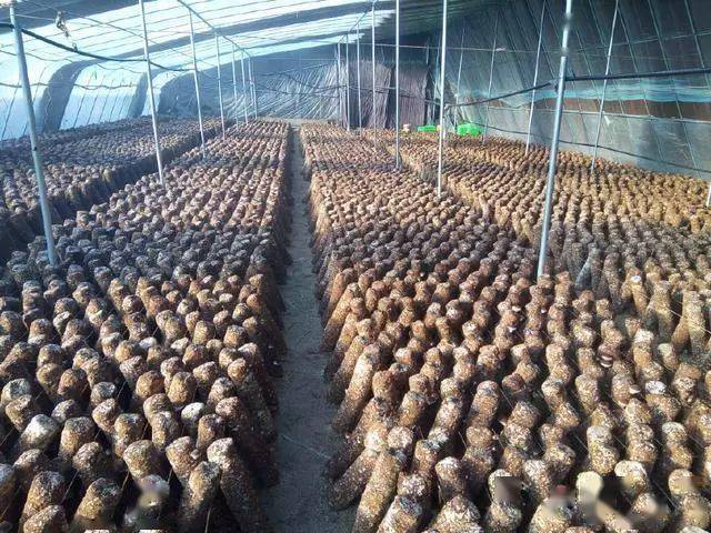 一亩地20万贵不贵(一亩地20万贵不贵呀)