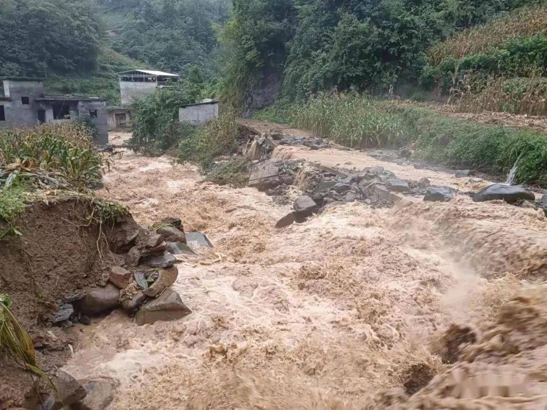 强降雨来袭!安康紫阳县发生多处山体滑坡,多条道路中断