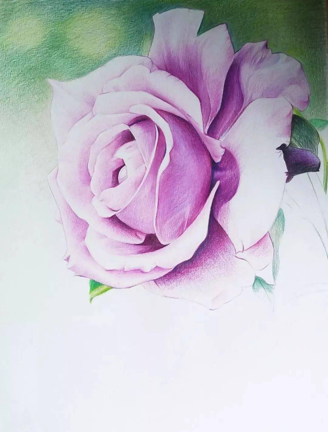 玫瑰花彩铅画法,教你怎么画好一朵玫瑰花!