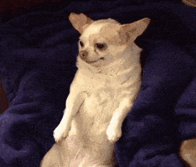 食物|不吃饭只吃零食，一个月能瘦多少？