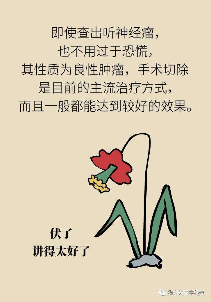 张明山|耳鸣是人老了听力不行了？错，可能藏着个大病