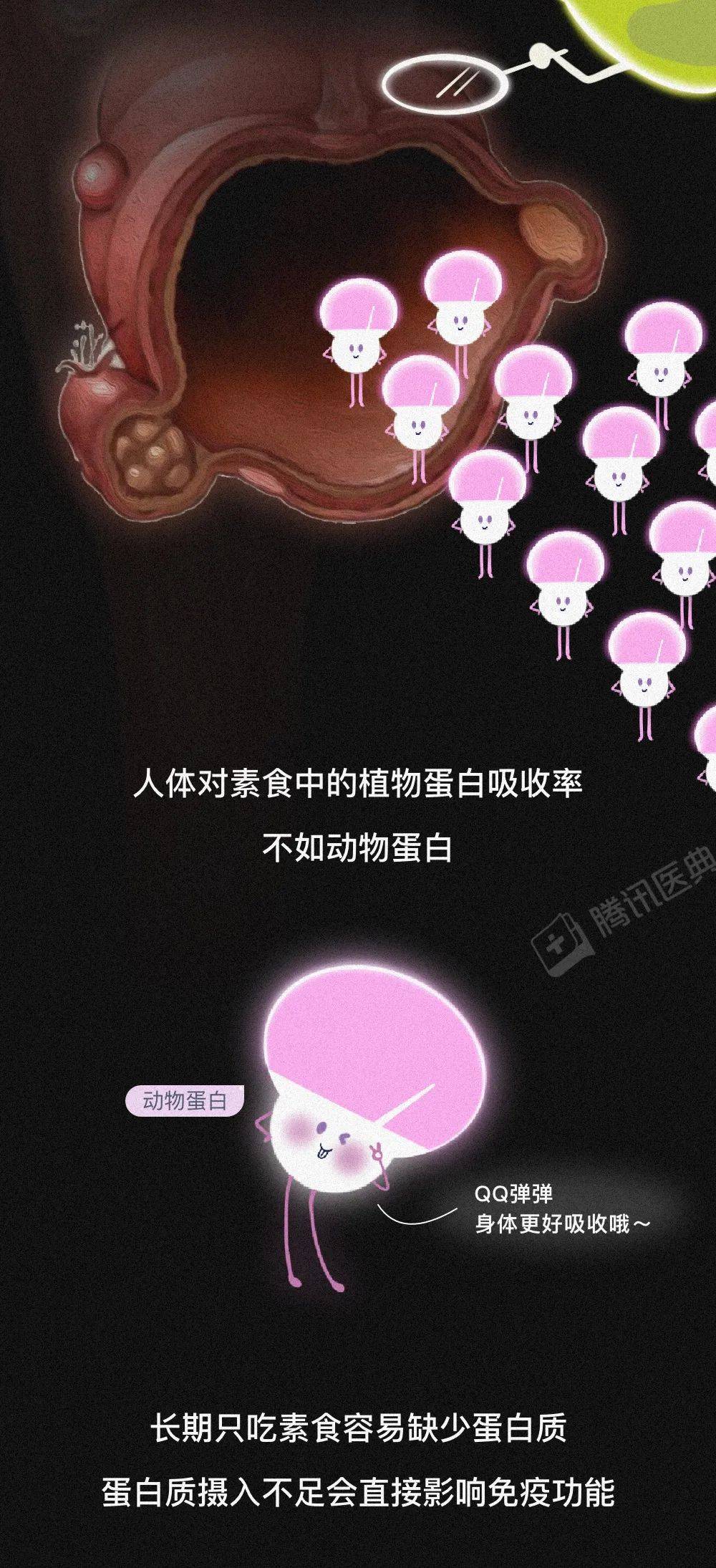 Barbero|那些長期吃素的人，后來怎么樣了？