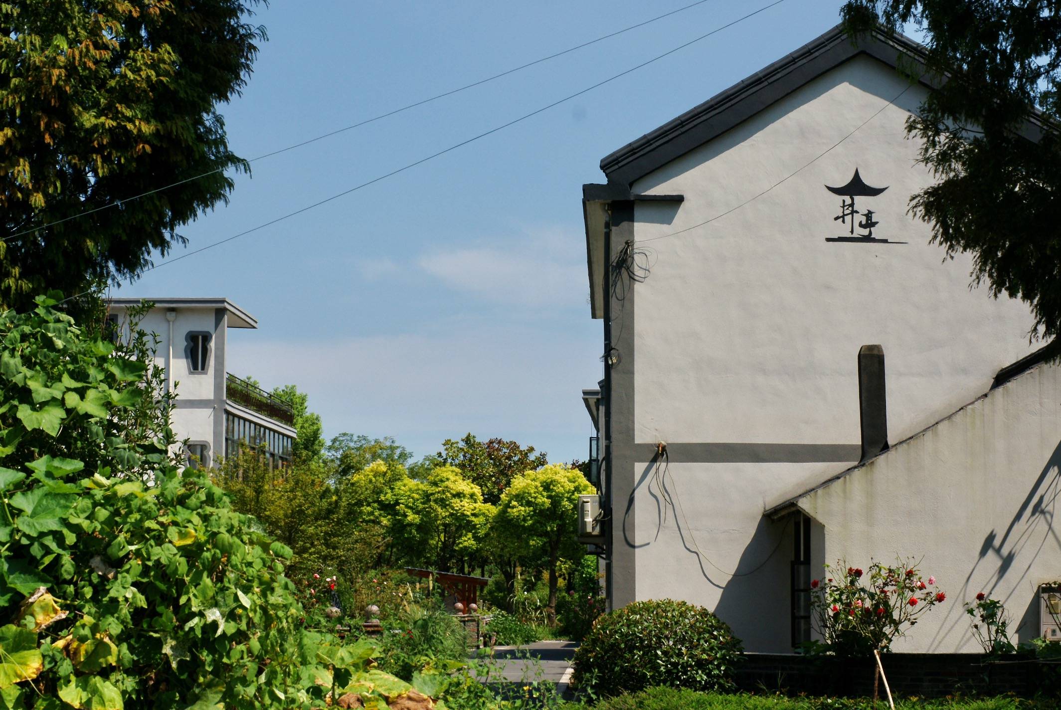 崇明岛有个森林乡村向往的田园近在眼前