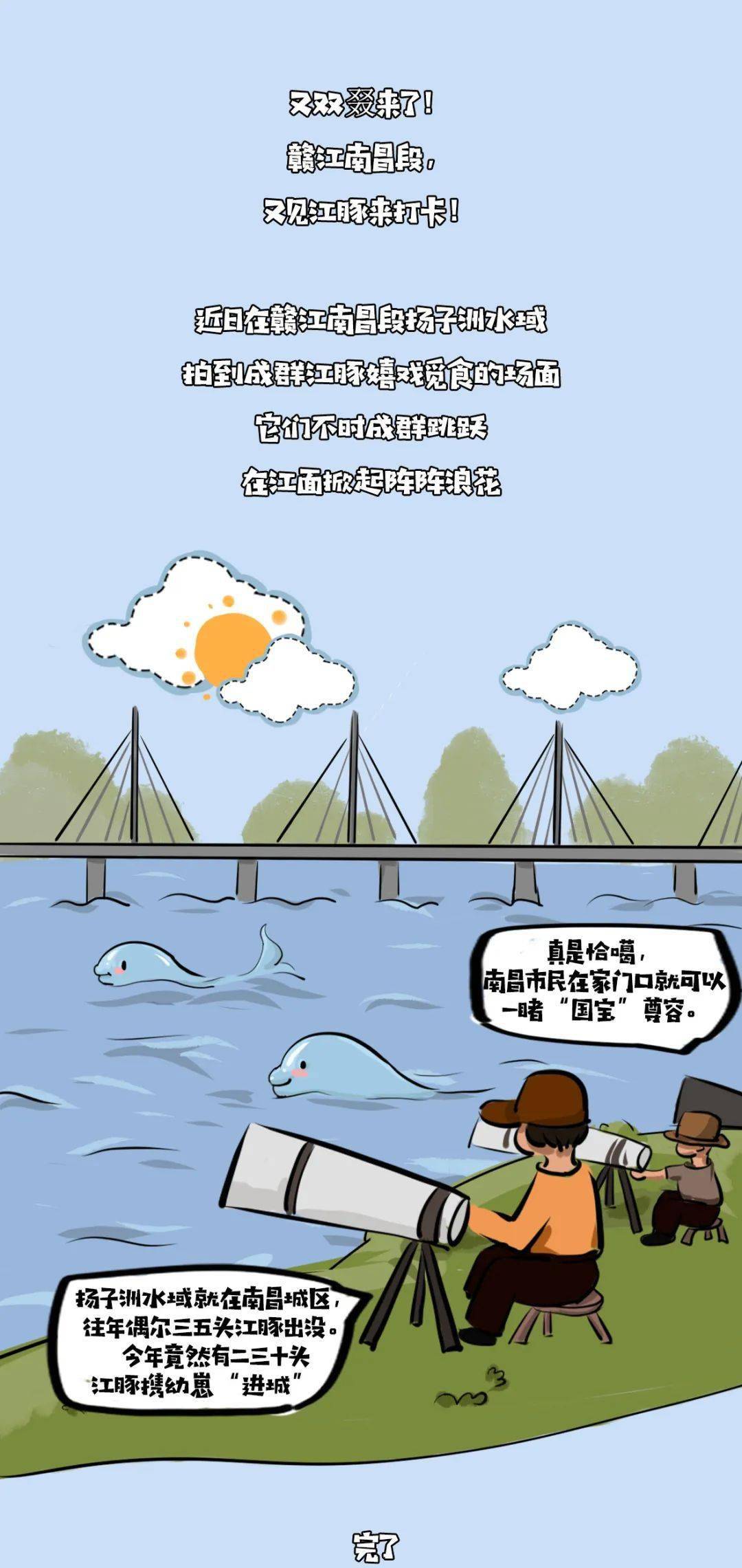 赣江这一幕刷屏了!_江豚