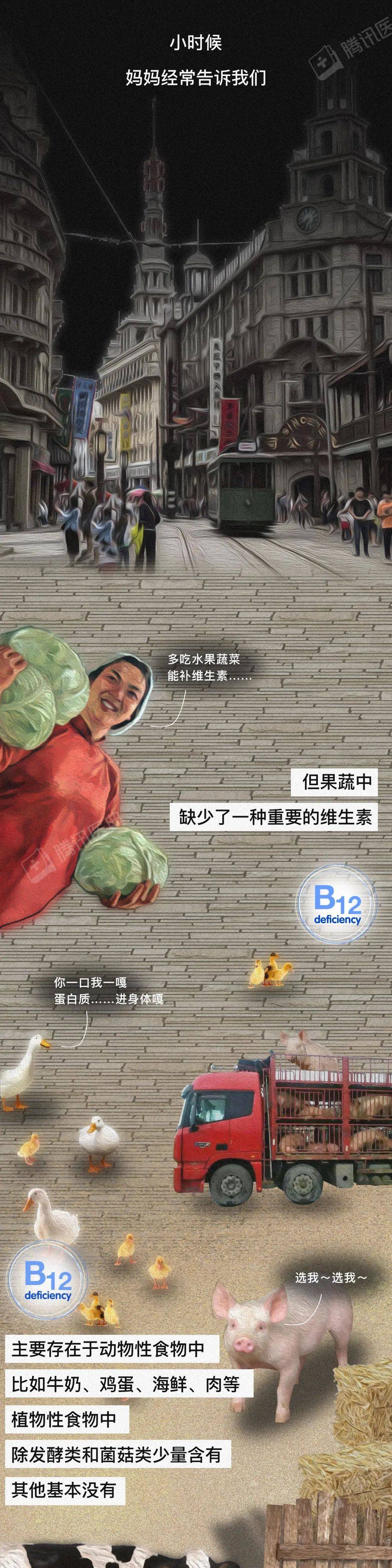 Barbero|那些長期吃素的人，后來怎么樣了？