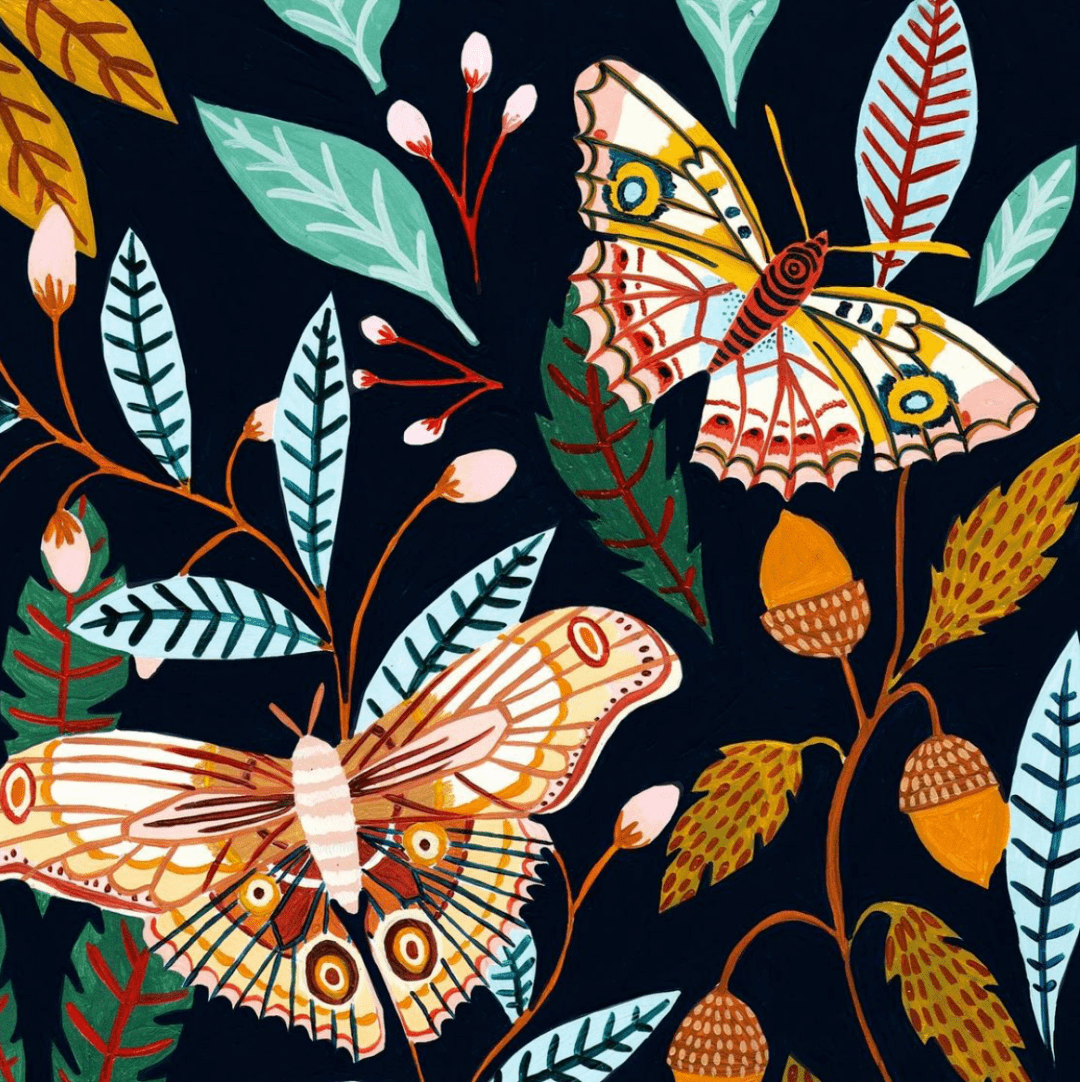 英国插画师amberdavenport作品欣赏昆虫篇二