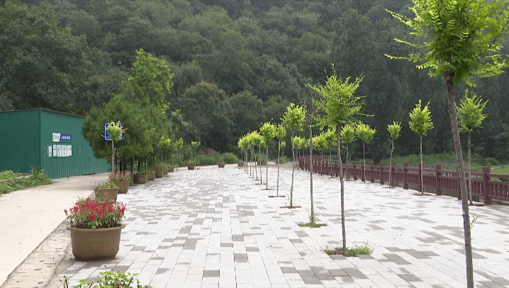 黨旗在基層一線高高飄揚霞雲嶺鄉霞雲嶺村用心用情用力解決好百姓急愁